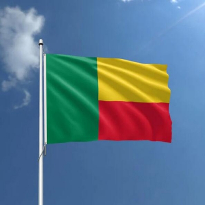 Custom in Stock Benin Flag ﻿