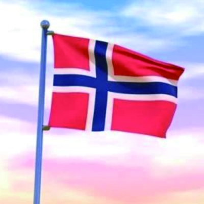 Customized 3x5ftJan Mayen Island Flag